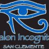 Salon Incognito
