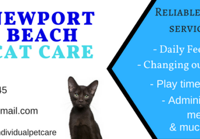 Newport Beach Cat Care