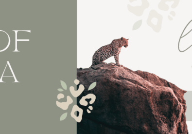 Soul Of Africa Travel