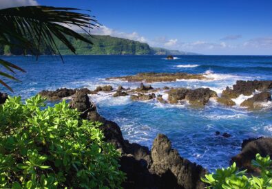 All About Honeymoons ...