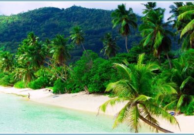 Better Bargain Travel