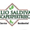 Landscape Expert Tree Care
