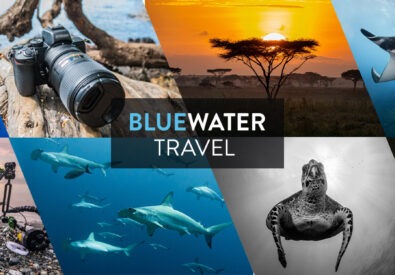 Bluewater Travel