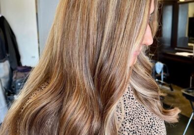 Cranberries The Salon