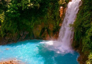 SVH Tours & Travel S...