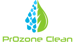 Prozone Clean