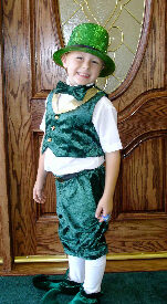 Shamrock Windows & D...