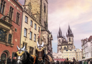 VietFly Travel & Ser...