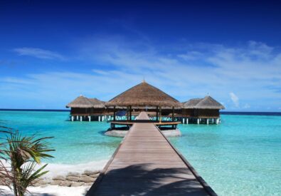 The Traveling Traveler