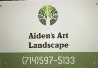 Aiden’s Art Landscape