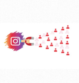 Instagram Follower Management